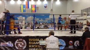 SERGEY TYAN final World Cup Diamond-2013 (kickboxing WAKO).