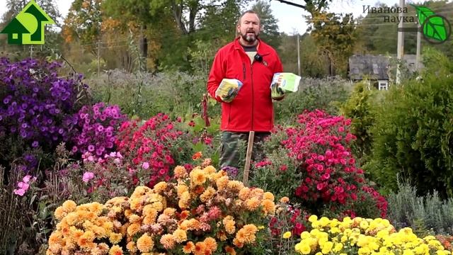 Не торопитесь с побелкой! КОГДА, КАК и ЧЕМ ЛУЧШЕ БЕЛИТЬ ДЕРЕВЬЯ. Мел или известь - что лучше? смотреть онлайн