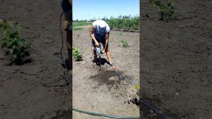 Бурение под виноградные столбики самодельным буром (перфоратор Днипро-М)