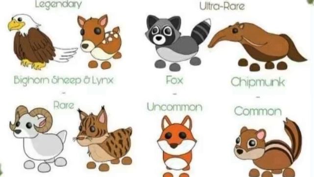 ЛЕСНОЕ ЯЙЦО В АДОПТ МИ!НОВОЕ ЛЕСНОЕ ОБНОВЛЕНИЕ/ПОКАЗАЛИ НОВЫХ ПИТОМЦЕВ ADOPT ME FOREST EGG UPDATE смотреть онлайн