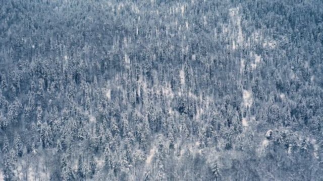 ❄️How to Relax Your Mind and ❄️Body with the Best Sleeping Music! смотреть онлайн