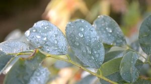 Одиночное мотопутешествие на АЛЬФЕ Часть 6