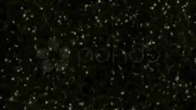 Star Sky Sparkle #2 смотреть онлайн