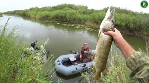 КЛЁВ НАРАСТАЕТ, ЩУКА, ОКУНЬ, ЯЗЬ! РЫБАЛКА НА РЕКЕ КАБЫРГА! ПЕРЕЕХАЛИ НА ДРУГОЙ ПЛЁС И ДЕЛО ПОШЛО!