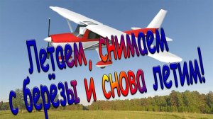 Летаем, снимаем с берёзы и снова летим!