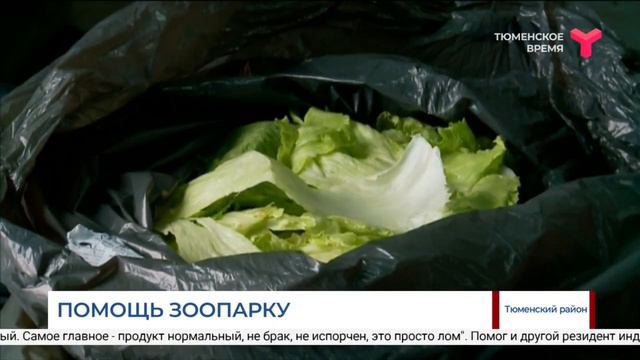 Помощь зоопарку / Тюмень