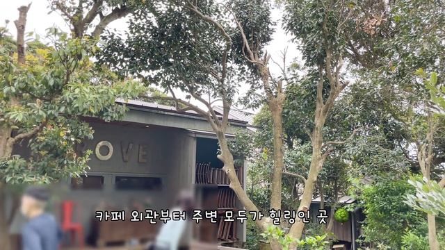 일본 도쿄 브이로그?편의점 신상 간식들, 숲 속의 카페 (CAFE GROVE), 딸기 농장 체험, 꽃과 함께하는 소소한 도쿄 일상