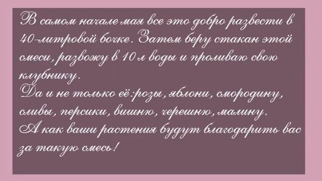 Ядерная смесь для клубники/Самая лучшая подкормка клубники/Клубника-первая весенняя подкормка#short