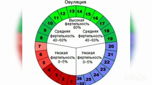 ЧАДВАЛИ ШУКУФОИ ЗАН БАРОИ ФАРЗАНДДОР ШУДАН