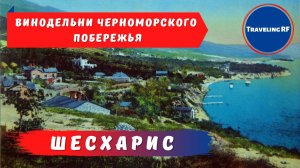 История Новороссийской винодельни Шесхарис.