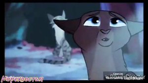 [☆Иглогривка♡]~{Коты воители}