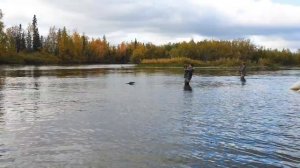 рыбалка на реке мокрая сыня хмао