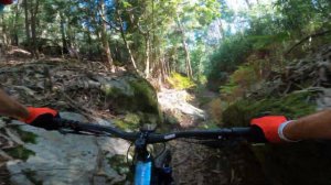 MARIN RIFT ZONE 29 2 - REVIEW - Breogán Calviño