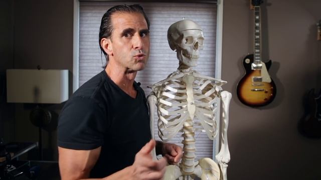 Anatomy of The Biceps Muscle | Big Arms After 50! смотреть онлайн