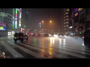 Красная плесень На землю капает дождь