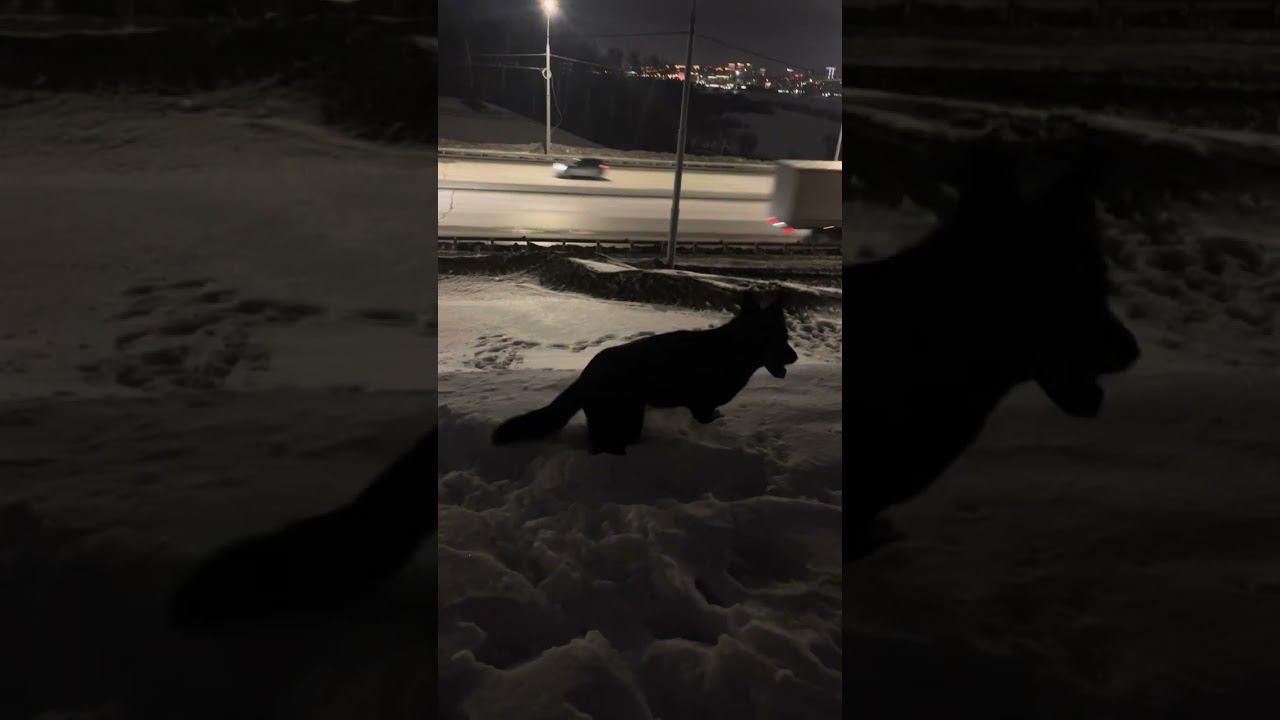 24 марта 2024 г. смотреть онлайн