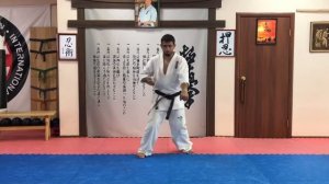 Учимся блокировать удары ( гедан барай в киокусинкай )