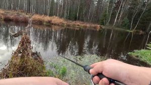 СО СПИННИНГОМ ПО РЕКЕ ПЕТЛЯНКА - ЗАКРЫТИЕ СЕЗОНА ЖИДКОЙ ВОДЫ
