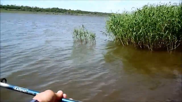 Рыбалка на Самодур из прошлого 2016 год. Одно из первых моих видео на Ютуб, как всё начиналось...