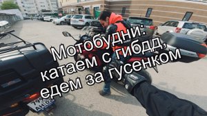 Мотобудни: катаемся с гибдд, едем за гусёнком.