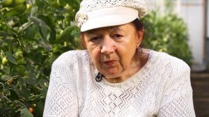 Томат Вологда-Град F1. Холодостойкий супер урожайный гибрид. Агрофирма Ильинична.