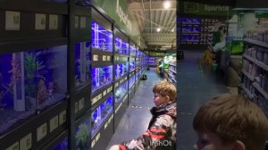 Каких животных можно купить в Зоомагазине в Германии?