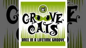 Once In A Lifetime Groove (Radio Edit)