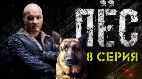 «Пёс»: 8 серия | «Внутреннее расследование» | Сериалы НТВ