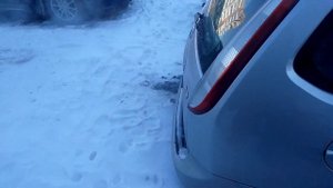 Ford Focus 1.6TDCI 2008 прожиг сажевого фильтра