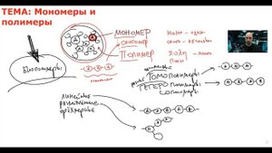 Что такое мономеры и полимеры? Душкин объяснит