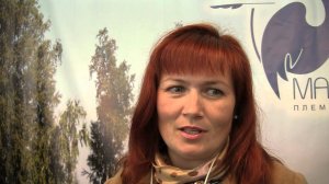 Ответы по гусеводству от племенного завода Махалов