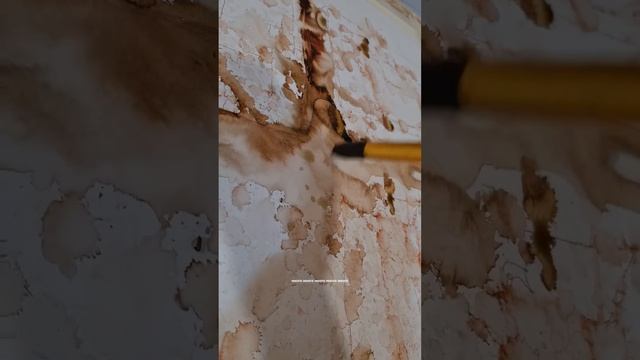 Как не бояться чистого листа при рисовании. На примере очень дорогой бумаги. Эдуард Кичигин смотреть онлайн