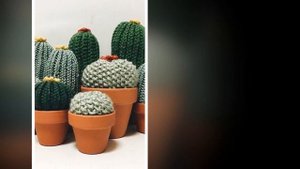 Ammigurumi cactus.Декоративные  кактусы крючком.