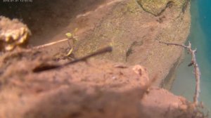 Акташский провал На Самом Дне 1 день сьемки