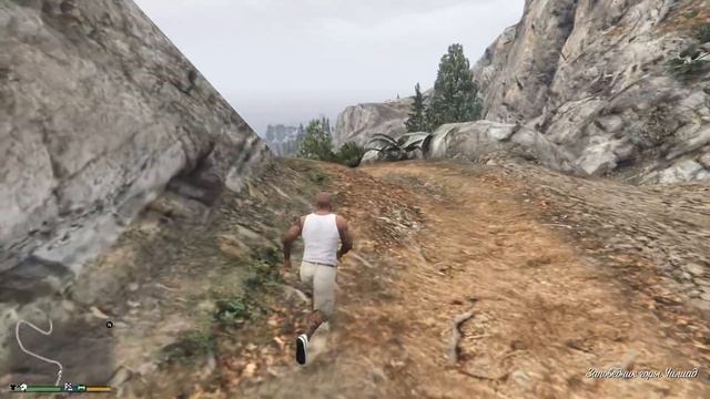 СМОЖЕТ ЛИ ЧОП СПАСТИ ФРАНКЛИНА ОТ ПАНТЕРЫ?! СОБАКА ПРОТИВ ПАНТЕРЫ! КТО ВЫЖИВЕТ? (GTA 5) смотреть онлайн