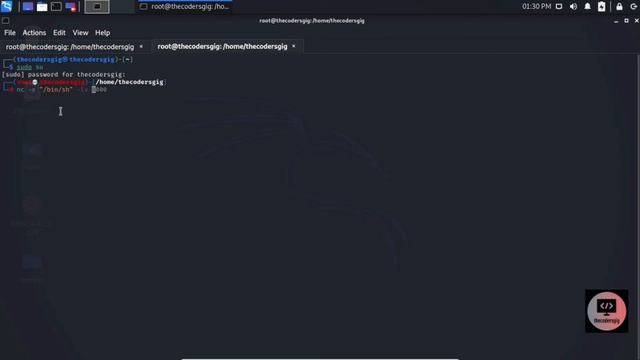 Secure Your Messages | Reverse Shell Using Kali linux and Parrot Os