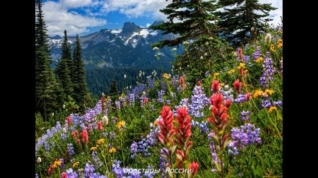 Виктор Шевцов - малиновый звон -и др смотреть онлайн