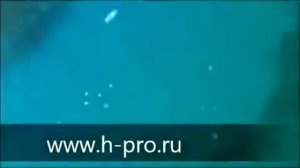 Подводная очистка установкой КавиДом CaviBlaster