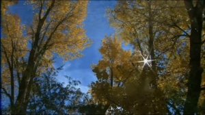 Я вернусь к тебе,мама...