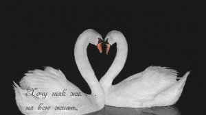 Ты мои слезы, ты моё сердце