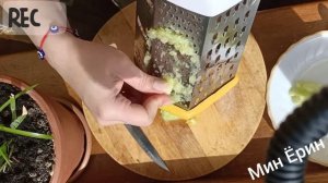 Натуральное питание кошек 4 /?Кошки едят ОГУРЦЫ /Рецепт правильного питания кошек