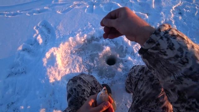 Можайка как всегда выручила Рыбалка на Можайском водохранилище