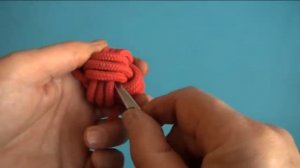Кулак Обезьяны