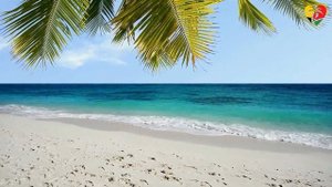 A Week vacation in Kingston, Jamaica - Top Things To Do - But AVOID These Things!!!