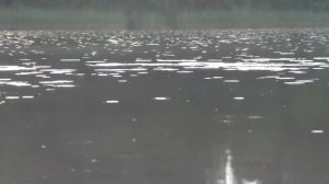 НЕ ЗА РЫБОЙ - НА РЫБАЛКУ !  ? Псковская обл. ? оз.Хвойно