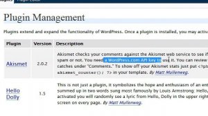 Eliminate WordPress Blog Spam with the Akismet Plugin