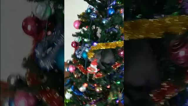 Кот и новый год ! смотреть онлайн