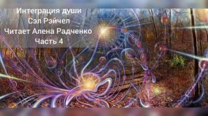 Интеграция души Сэл Рэйчел Читает Алена Радченко Часть 4