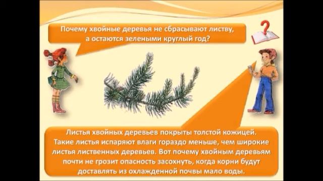 В ГОСТИ К ОСЕНИ УРОК ОКРУЖАЮЩЕГО МИРА 2 КЛАСС смотреть онлайн