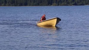 Лодочный электромотор WATERSNAKE  54